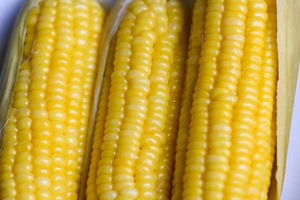 Ripe Corn Cobs Steamed Boiled Sweetcorn Food Vegan Dinner Snack — Stock Fotó