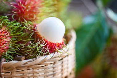 Fresh and ripe rambutan sweet tropical fruit peeled rambutan with leaf, Rambutan fruit harvest from the garden rambutan tree