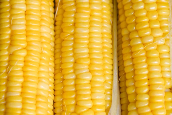 Cooked Sweet Corn Background Ripe Corn Cobs Steamed Boiled Sweetcorn — Stock Fotó