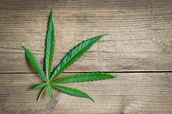 Cannabis Leaf Wooden Background Cannabis Hemp Leaves Marijuana Leaf Plant — Foto Stock