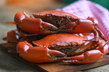 Tahta kesme tahtasında taze yengeç, deniz ürünleri yengeci kaynatma veya deniz ürünleri mutfağında haşlanmış yengeç kırmızısı.