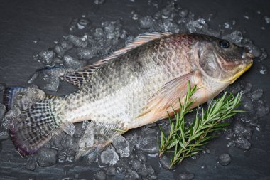 Karanlık arka planda baharat biberiyeli Tilapia, Tilapia çiftliğinden taze çiğ tilapia balığı.