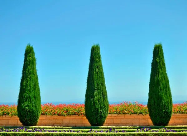 Beautiful trees and flowers in the Bahai Gardens — Stock Photo, Image