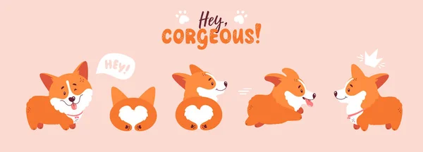 Cute Welsh Corgi Puppy Set Different Poses Dog Standing Running — Stock Vector