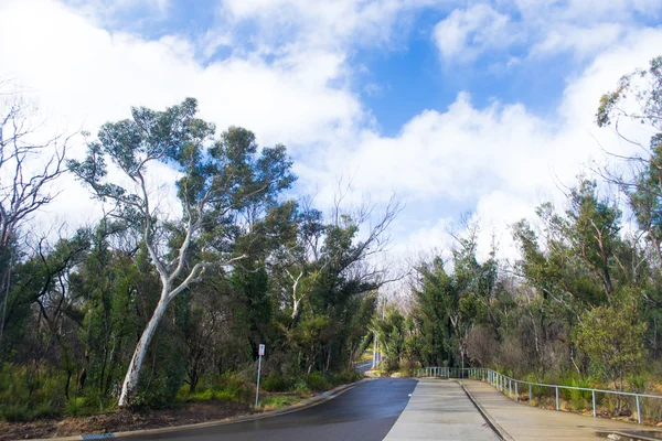 Paesaggio a Katoomba Nuovo Galles del Sud — Foto Stock