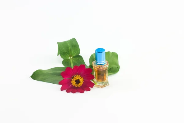 Flaschen Parfüm und Blumen isoliert auf mit Hintergrund — Stockfoto
