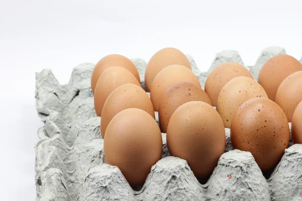 Ovos de galinha em recipiente de ovo — Fotografia de Stock