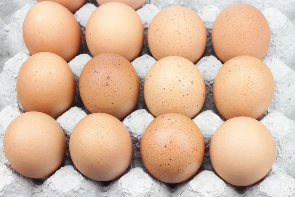 Ovos de galinha em recipiente de ovo — Fotografia de Stock