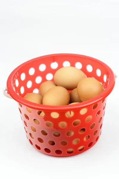 Chicken eggs in plastic container — Stock Photo, Image