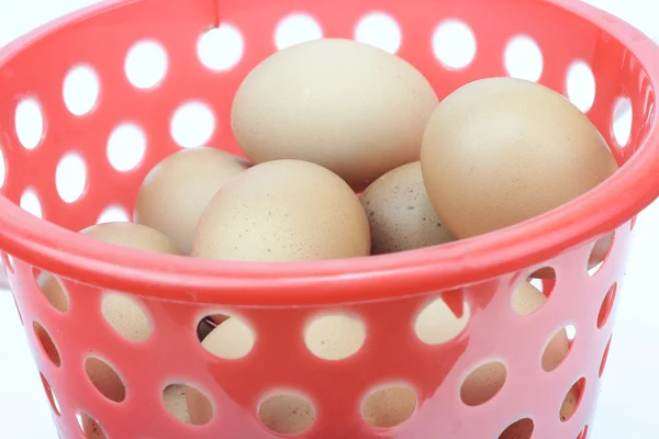 Ovos de galinha em recipiente de plástico — Fotografia de Stock