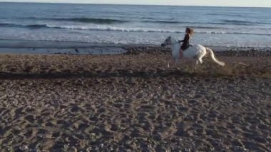 Genç ve güzel bir kadın plajda zarif beyaz bir ata biniyor. 