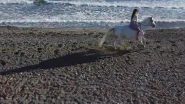 Genç ve güzel bir kadın plajda zarif beyaz bir ata biniyor. 