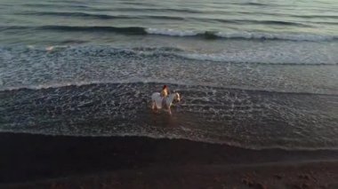 Genç ve güzel bir kadın plajda zarif beyaz bir ata biniyor. 