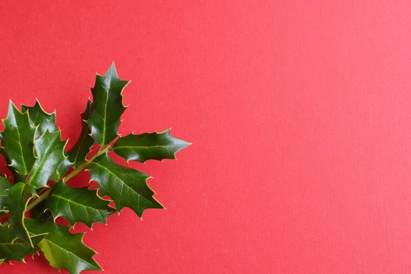 Latar Belakang Dekorasi Natal Cabang Hijau Dari Holly Berry Dengan — Stok Foto