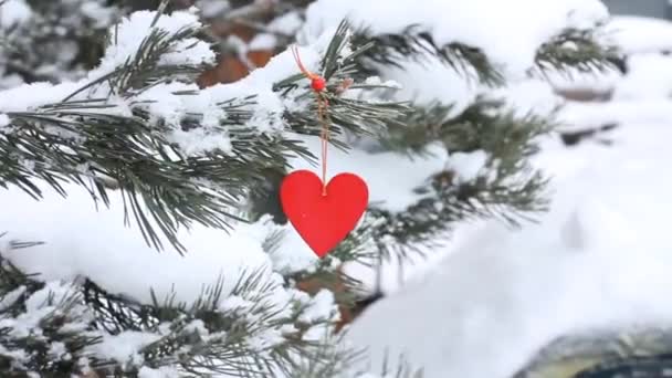 Outdoor snow spruce decorated with a red wooden heart. the concept of valentines day, valentines day — Wideo stockowe