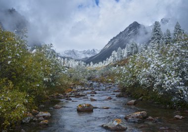 Autumn in the upper reaches of river Zun-handagay clipart