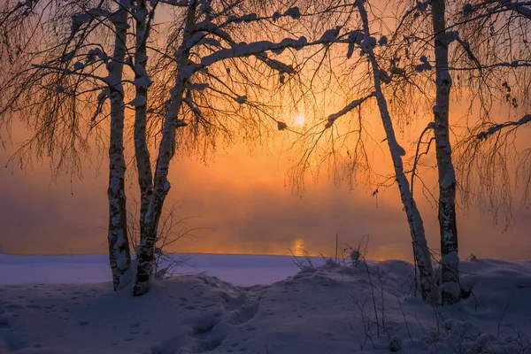 Sunset at the river Angara — Stock Photo, Image