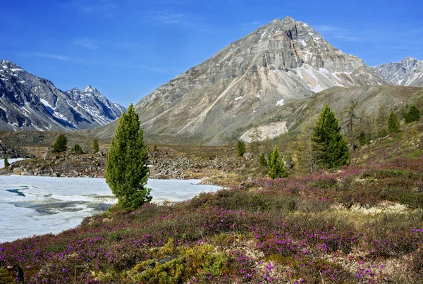 Frazil op de rivier Arahant — Stockfoto