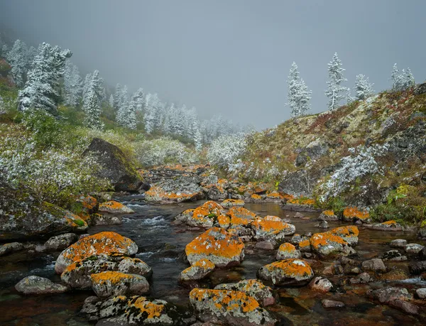 Autumn in Mountains — Stock Image Autumn in Mountains Stock Picture