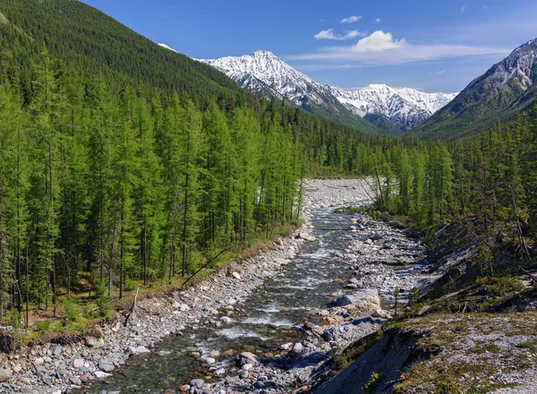 Shumak River — Stock Photo, Image