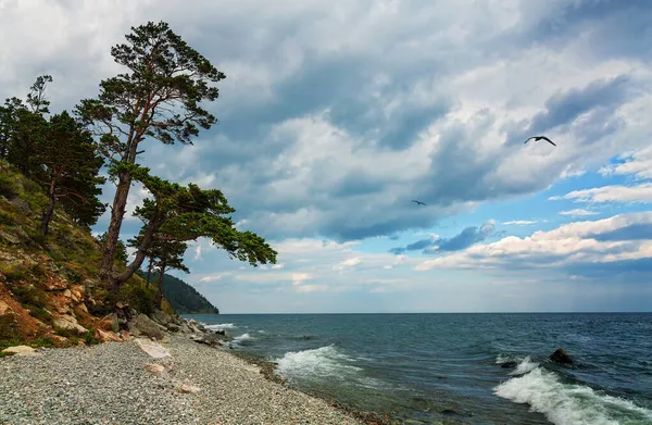 Pantai Danau Baikal Siberia Timur — Stok Foto