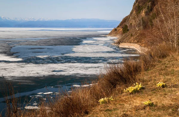 Musim Semi Tepi Danau Baikal — Stok Foto
