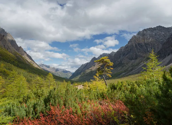 Höst Bergen Kodar Åsen Transbaikalia Östra Sibirien — Stockfoto