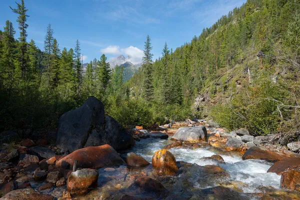 Das Tal Des Flusses Kyrgana Den Bergen Der Tunkinsky Schmerlen — Stockfoto