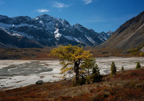 Dağlar Doğu Sayan Sonbaharda — Stok fotoğraf