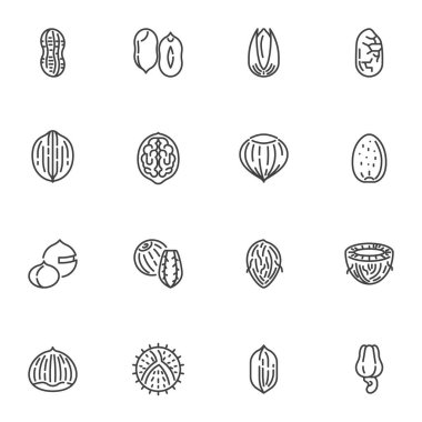 Fındık, tohum çizgisi simgeleri