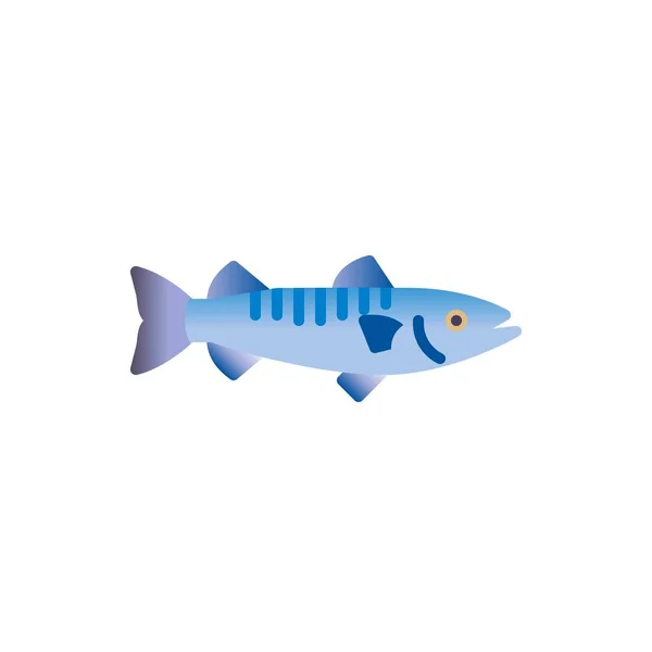 Barracuda Fish Flat Icon Vector Sign Colorful Pictogram Isolated White — Vettoriale Stock