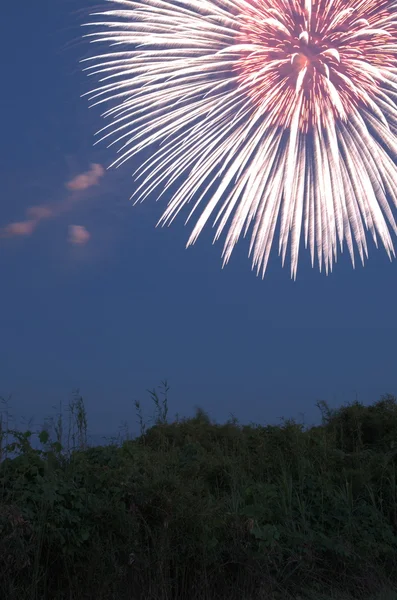 güzel renkli havai fişek