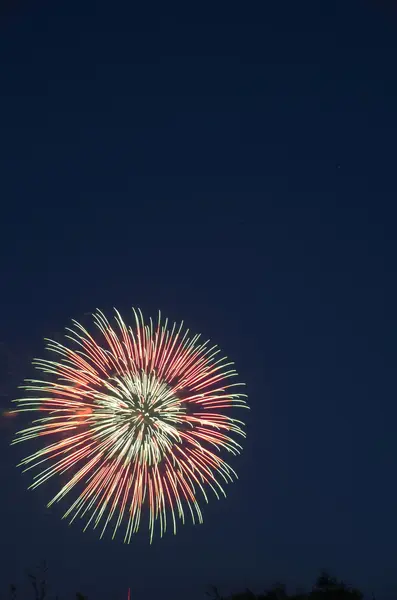 Hermosos fuegos artificiales de colores — Foto de Stock