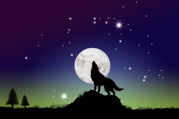 Der Wolf und der Mond Stockfoto