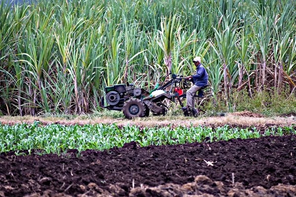 Vaduth Maharashtra Índia Novembro 2020 Agricultor Montando Sua Máquina Arar — Fotografia de Stock