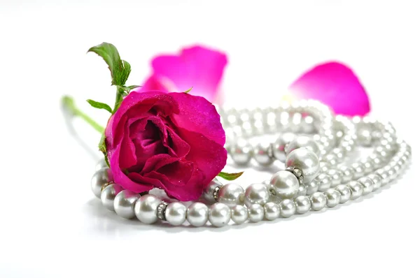 Rose and pearls — Stock Photo, Image