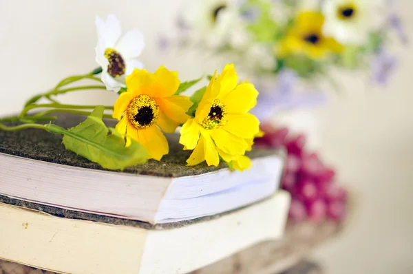 Bücher und Blumen — Stockfoto