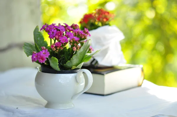 Bouquet — Stock Photo, Image