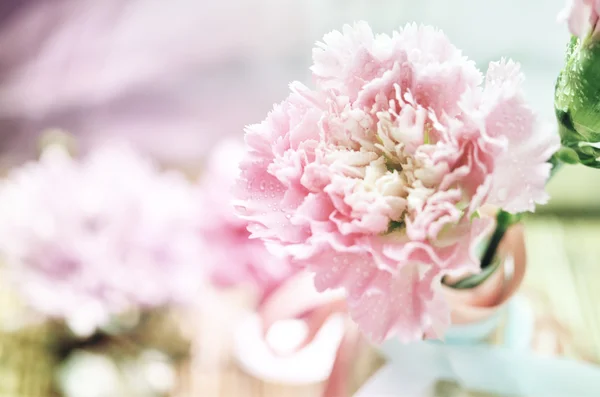 Lindas flores feitas com filtros de cor — Fotografia de Stock
