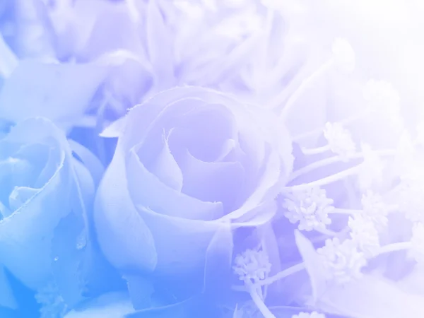Beautiful flowers with color filters — Stock Photo, Image