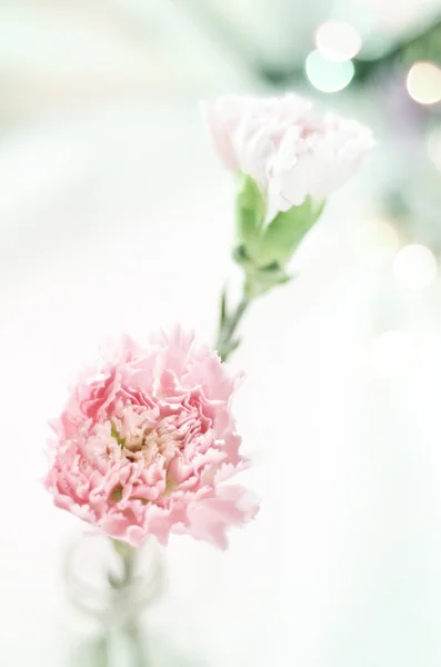 Blommor med färgfilter — Stockfoto