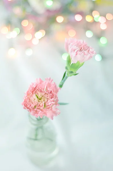 Zoete bloemen in zachte stijl voor achtergrond — Stockfoto