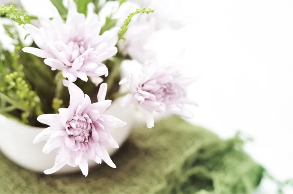 Flores dulces en estilo suave para el fondo — Foto de Stock