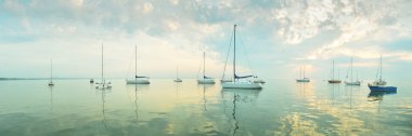 Morning sea - panoramic view clipart