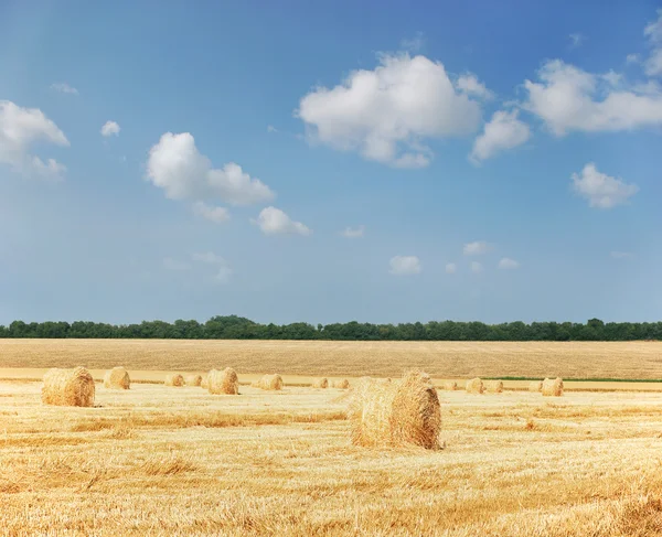 農業 - 干し草の山 — ストック写真