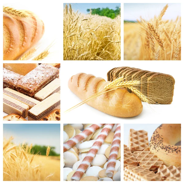 Getreide-Collage — Stockfoto
