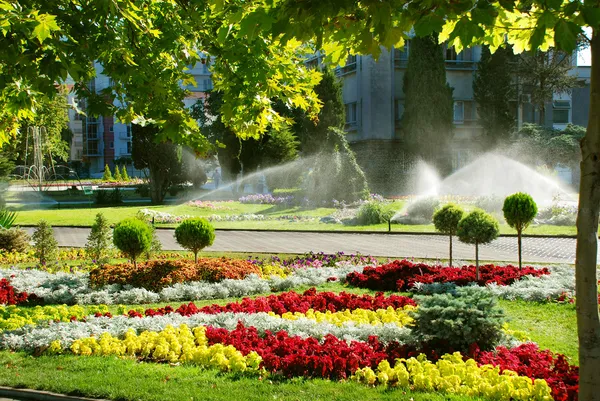 Gräsmatta vattning sprinkler — Stockfoto