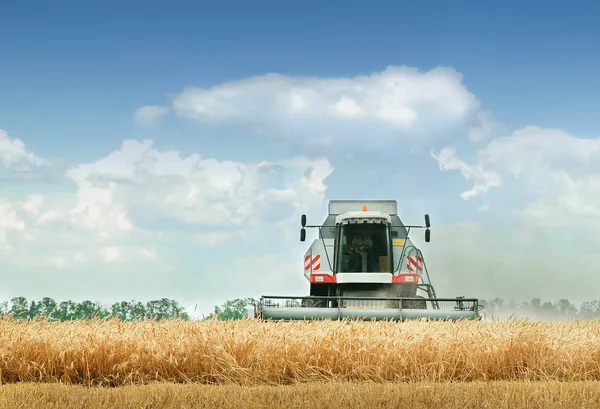 Combine harvester — Stock Photo, Image