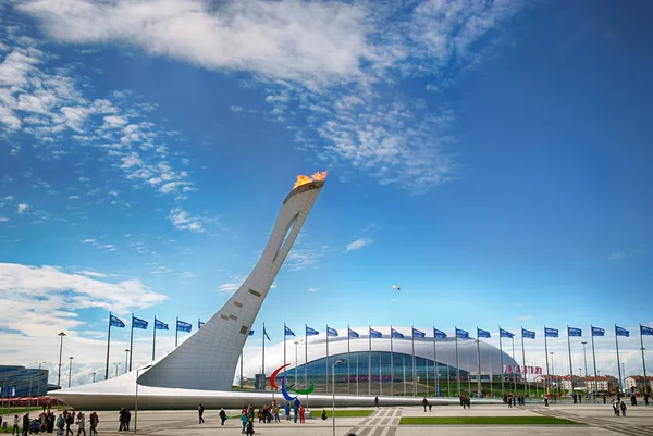 La fiamma olimpica brucia luminosa a Sochi 2014 — Foto Stock