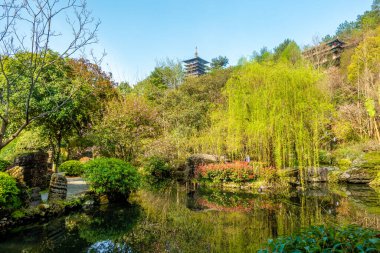 Dağların derinliklerindeki tepeler ve ağaçlar